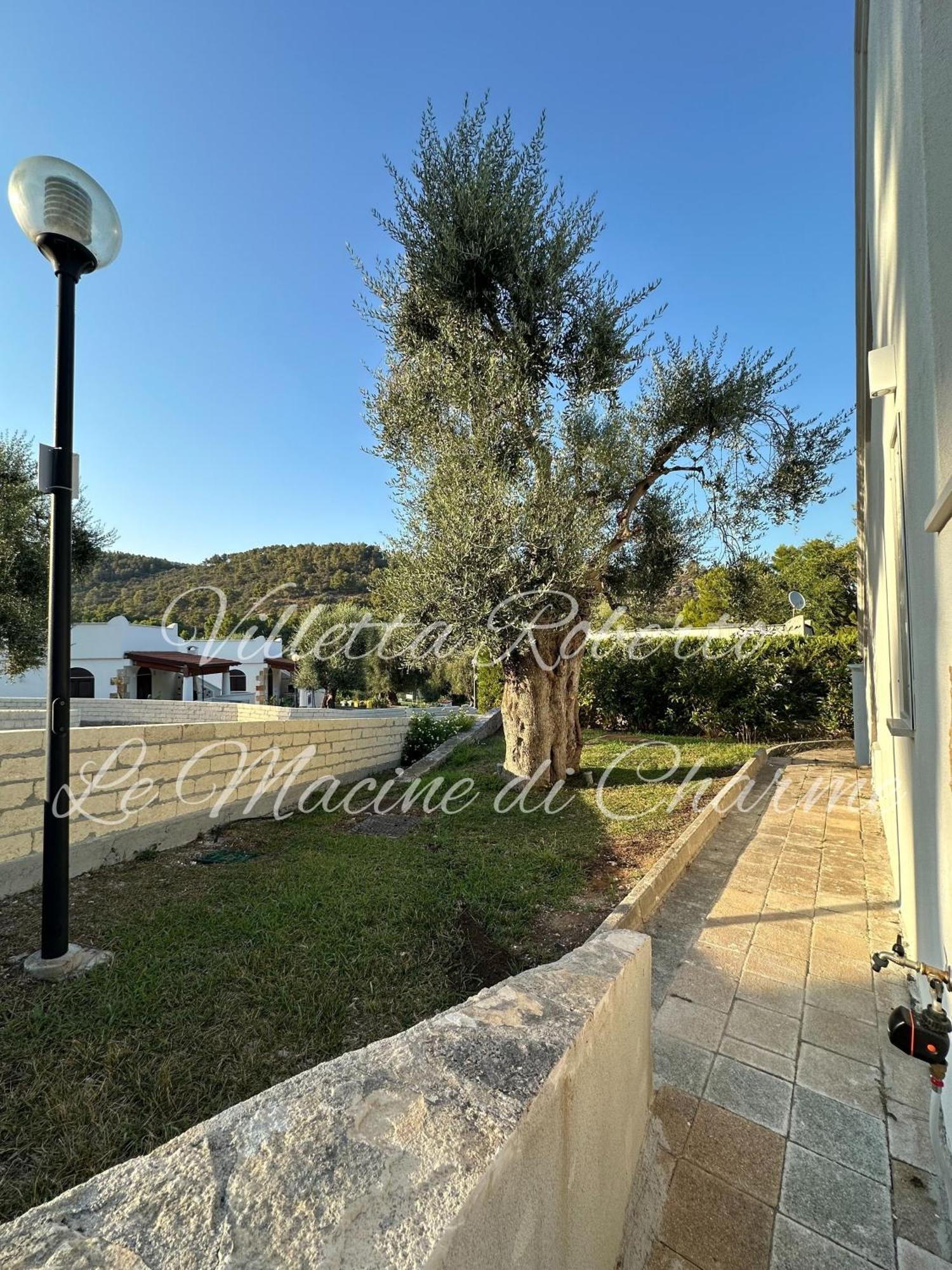 Villetta Roberto Le Macine Di Charme - Pugnochiuso Resort فيستَ المظهر الخارجي الصورة