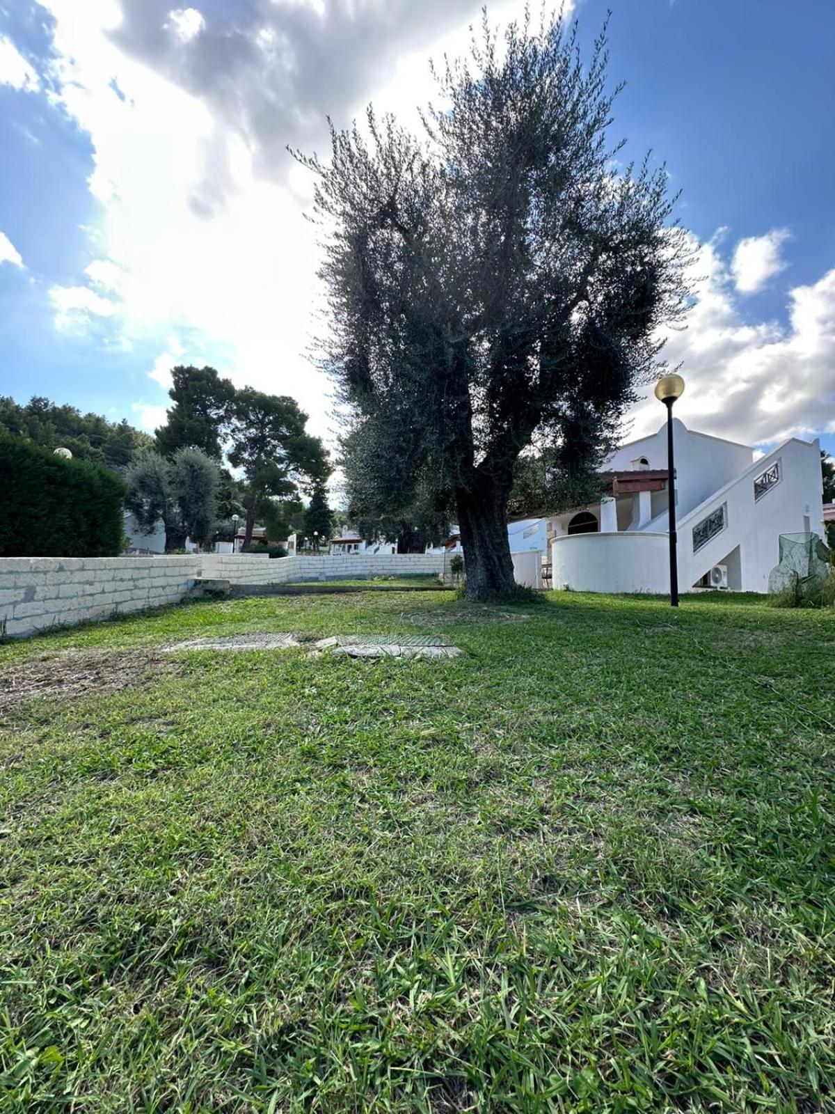 Villetta Roberto Le Macine Di Charme - Pugnochiuso Resort فيستَ المظهر الخارجي الصورة